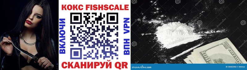 Cocaine Fish Scale  дарк нет формула  Гудермес 