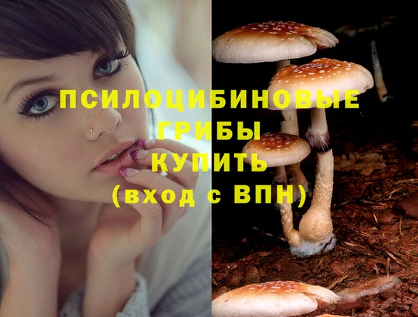 экстази Баксан